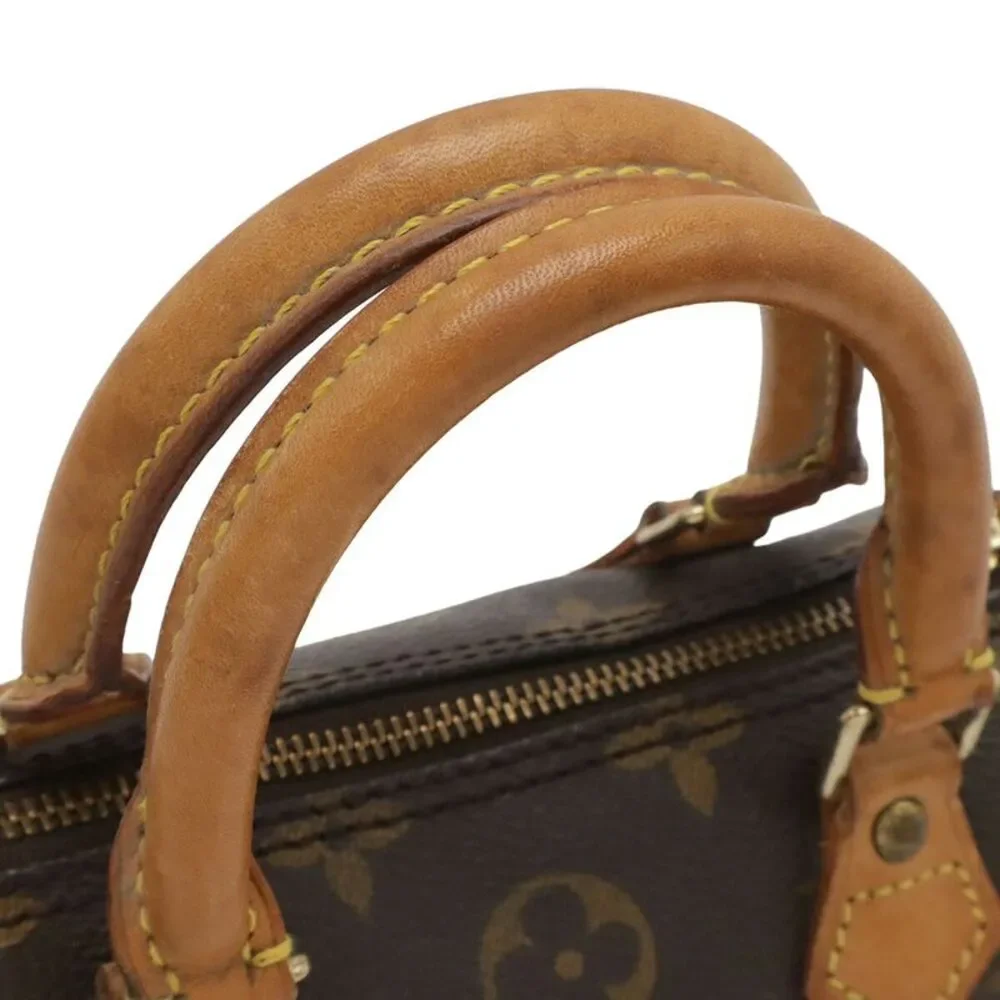 Louis Vuitton Mini Speedy